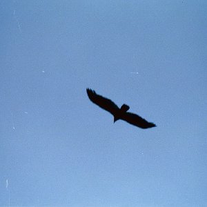/Albums/17/Pr00001063883