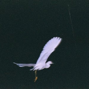 /Albums/18/Pr03921052267