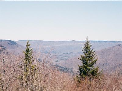 Pictures from Trips with Greg