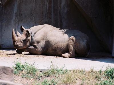 Jason's Trips - Album 2